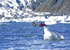 Alaska - Juneau: kayaking - Menden Hall glacier (photo by A.Walkinshaw)