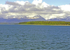 Alaska - Glacier Bay NP: landscape - mountains and forest - photo by A.Walkinshaw