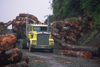 Alaska - Prince of Wales island: truck transporting pine trunks - photo by E.Petitalot