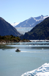 Alaska's Inside Passage - Tracy Arm Fjord : South Sawyer Glacier - approaching  (photo by Robert Ziff)