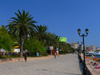 Sarand, Vlor County, Albania: palm lined promenade - photo by J.Kaman