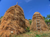 Kamnik, Kolonj, Kor county, Albania: haystacks and ladder - photo by J.Kaman