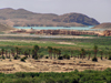 Algeria / Algerie - Aures mountains - Wilaya of Batna: lake and oasis - photo by J.Kaman