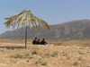 Algrie - Gorges de Tighanimine - El Abiod - Batna wilaya -  Massif des Aurs: la vie de plage? - photographie par J.Kaman