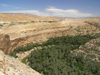 Algrie - Gorges de Tighanimine - El Abiod - Batna wilaya -  Massif des Aurs: oasis - photographie par J.Kaman
