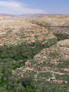 Algrie - Gorges de Tighanimine - El Abiod - Batna wilaya -  Massif des Aurs: village et oasis - photographie par J.Kaman