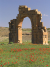 Algeria / Algerie - Batna: Triumphal Arch - sandstone - photo by J.Kaman