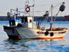 Algeria / Algrie - Bejaia / Bougie / Bgayet - Kabylie: fishing harbour - small fishing vessel | port de pche artisanal - petit bateau de pche - photo by M.Torres