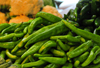 Algeria / Algrie - Bejaia / Bougie / Bgayet - Kabylie: green peppers at the market | poivrons verts au march - Boulevard Biziou - photo by M.Torres