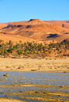 Biskra, Algeria / Algrie: Oued El Abiod - oued et palmeraie - photo by M.Torres | Oued El Abiod