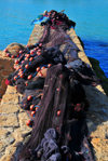 Tipaza, Algeria / Algrie: fishing nets on a pier | filets de pche sur une jete - photo by M.Torres