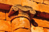Tombeau de la Chrtienne - wilaya de Tipaza, Algrie: Great royal mausoleum of Mauritania - Ionic order capital | Mausole Royal de Maurtanie - chapiteau ionique - photo par M.Torres
