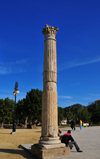 Cherchell - Tipasa wilaya, Algeria / Algrie: Roman Square - Roman column and omb trees | Place Romaine - colonne romaine et belombras - photo by M.Torres