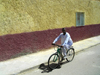 Algrie - Tamelaht - El Oued wilaya: bicyclette - vlo - photographie par J.Kaman