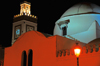 Algiers / Alger - Algeria: El Jedid mosque at night - in the form of a Greek cross, surmounted by a large white cupola, with four small cupolas at the corners - Martyrs square | Mosque El Jedid - nuit - coupole centrale ovode termine en pointe - son plan en forme de croix latine rappelle les glises byzantines d'Istamboule - Place des Martyrs - photo by M.Torres