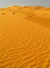 Algrie - Dsert du Sahara : dunes de sable - photographie par J.Kaman