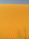 Algrie - Dsert du Sahara : dunes de sable - ondes - photographie par J.Kaman