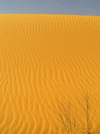 Algrie - Dsert du Sahara : dunes de sable - ondes - photographie par J.Kaman