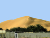 Algrie - Sahara desert: dune et palmiers - photographie par J.Kaman