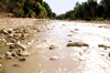 Algrie - M'Chouneche: sur le fleuve - photographie par C.Boutabba