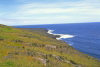 French Austral and Antartic Territories - Amsterdam island: coastal view (photo by Francis Lynch)