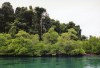 India - Andaman islands - Wandoor Marine Park: mangrove (photo by G.Frysinger)