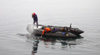 Commonwealth Bay, East Antarctica: a young fin whale comes close to investigate the Zodiacs - rigid inflatable boat - photo by R.Eime