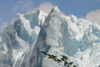 Argentina - Los Glaciares National Park / Parque Nacional los Glaciares (Santa Cruz): Perito Moreno glacier - moving ice - Unesco world heritage site (photo by N.Cabana)