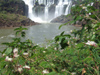Argentina - Iguazu Falls - falls and vegetation - images of South America by M.Bergsma