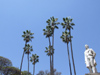 Argentina - Salta - Trees and Statue at Parque San Martin - images of South America by M.Bergsma