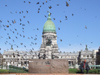 Argentina - Buenos Aires - The Congress - pigeons - images of South America by M.Bergsma