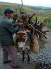 Armenia - Ambert / Amberd, Aragatsotn province: peasant with donkey - photo by S.Hovakimyan