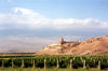 Armenia - Khor Virap, Ararat province: the monastery between Mount Ararat and the vineyards of Lusarvat village - photo by M.Torres