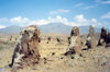 Armenia - Karahundje, Syunik province: Neolithic observatory - the Armenian Stonehenge - photo by M.Torres