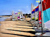 Israel - Kibbutz Sdot-Yam: at the start - sailing competition (image by Efi Keren)