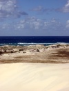 Australia - Fraser Island (Queensland): Dandy Cape - Sand Blow - photo by Luca Dal Bo