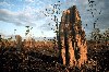 Australia - Huge termite mounds. Kakadu NP, Northern Territory - Unesco world heritage site - photo by Rod Eime