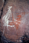 Australia - Kakadu National Park (NT: Aboriginal rock art - kangaroo - photo by  Picture Tasmania/Steve Lovegrove