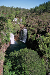 Australia - Leitchfield National Park (NT): Florence falls - waterfalls - NT attractions - photo by Picture Tasmania/Steve Lovegrove