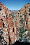 Australia - Standley Chasm west of Alice Springs (NT) - photo by  Picture Tasmania/Steve Lovegrove