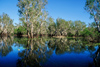 Australia - Kakadu NP (NT): waterway - Unesco world heritage site  - photo by  Picture Tasmania/Steve Lovegrove