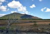 Australia - Cape Melville NP (Queensland): saltpans - photo by Luca Dal Bo