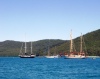 Australia - North Molle Island (Queensland) - photo by Luca Dal Bo