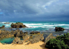 Australia - Port Fairy (Victoria): the Crags Calcified Forest - photo by Luca Dal Bo