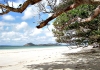 Australia - Iron Range NP (Queensland): Chilli Beach - photo by L. dal Bo