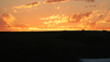 Australia - Penshaw - Kangaroo Island (SA): at sunset - photo by R.Zafar