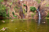 Australia - Leitchfield National Park (NT): Wangi falls - waterfalls - swimmers - NT attractions - photo by Picture Tasmania/Steve Lovegrove
