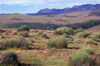 Australia - Flinders Ranges, South Australia: Stokes lookout - photo by G.Scheer