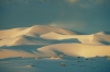 Australia - Eucla (WA): sand dunes at sunset - photo by R.Eime
