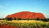 Australia - Ayers Rock / Uluru (NT) - photo by Angel Hernandez